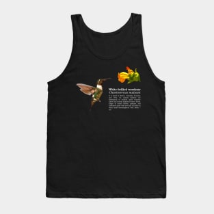 White-bellied woodstar hummingbird white text Tank Top